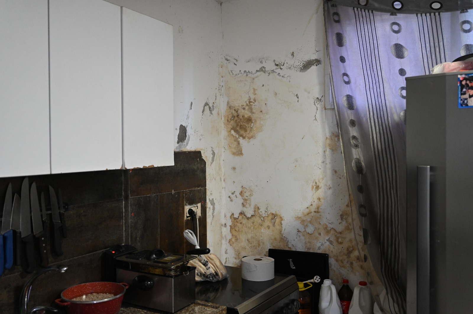 sanqwjhreqhr (4).jpeg